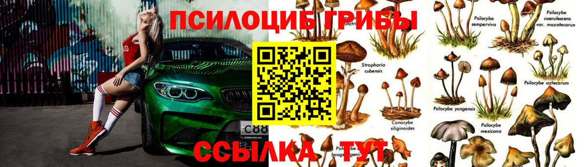 Галлюциногенные грибы MAGIC MUSHROOMS  Вход с VPN  Галлюциногенные грибы GOLDEN TEACHER  хочу   Ростов-на-Дону 