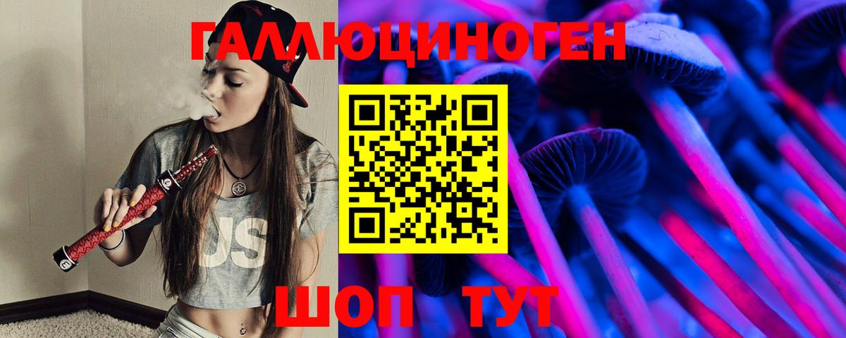 Галлюциногенные грибы Psilocybine cubensis Ростов-на-Дону