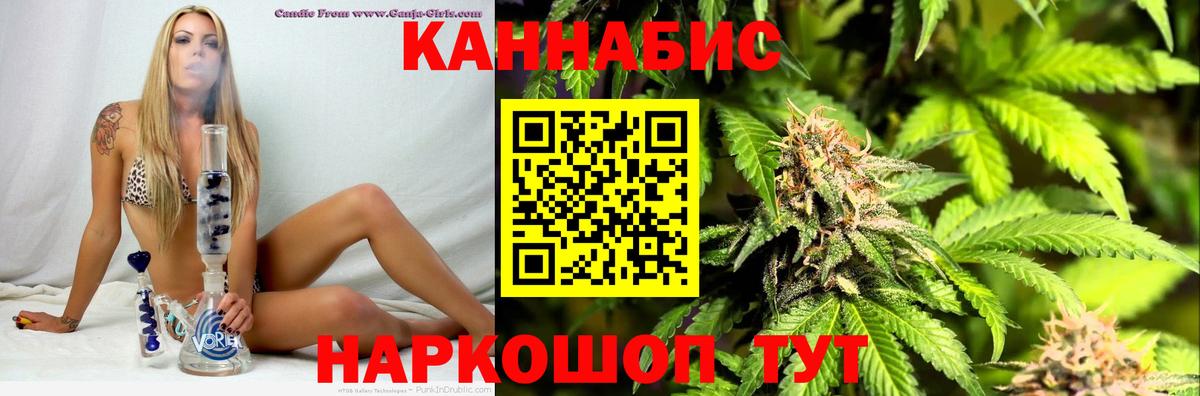 Конопля план Ростов-на-Дону